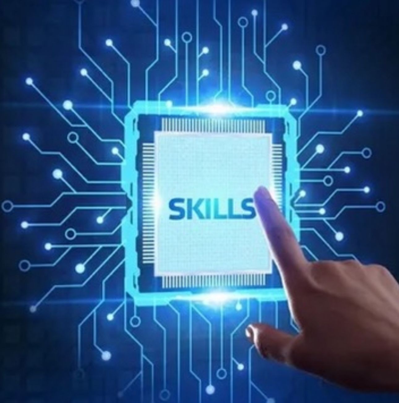 Digital Skills Training Program